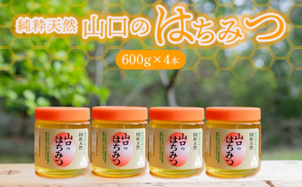 純粋天然 山口のはちみつ600g 4本