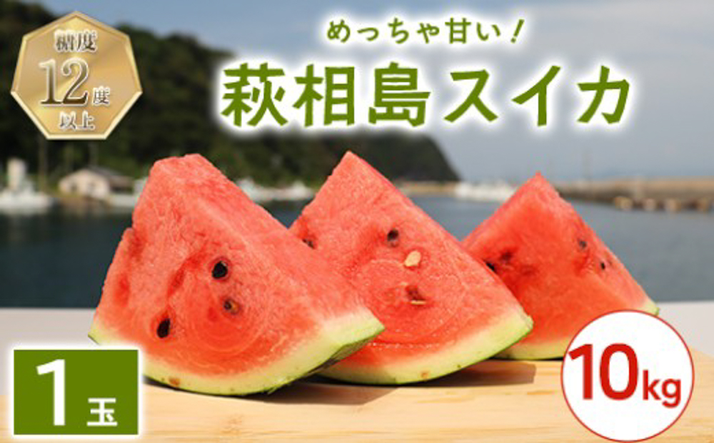 スイカ 10kg以上 萩・夏の銘品 相島 西瓜 秀品 大玉すいか フルーツ 果物 果物類 贈答品 ギフト