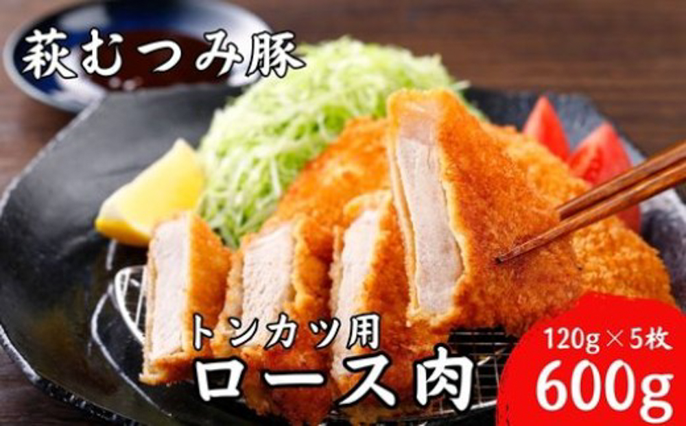 萩むつみ豚 トンカツ用ロース肉 120g×5枚