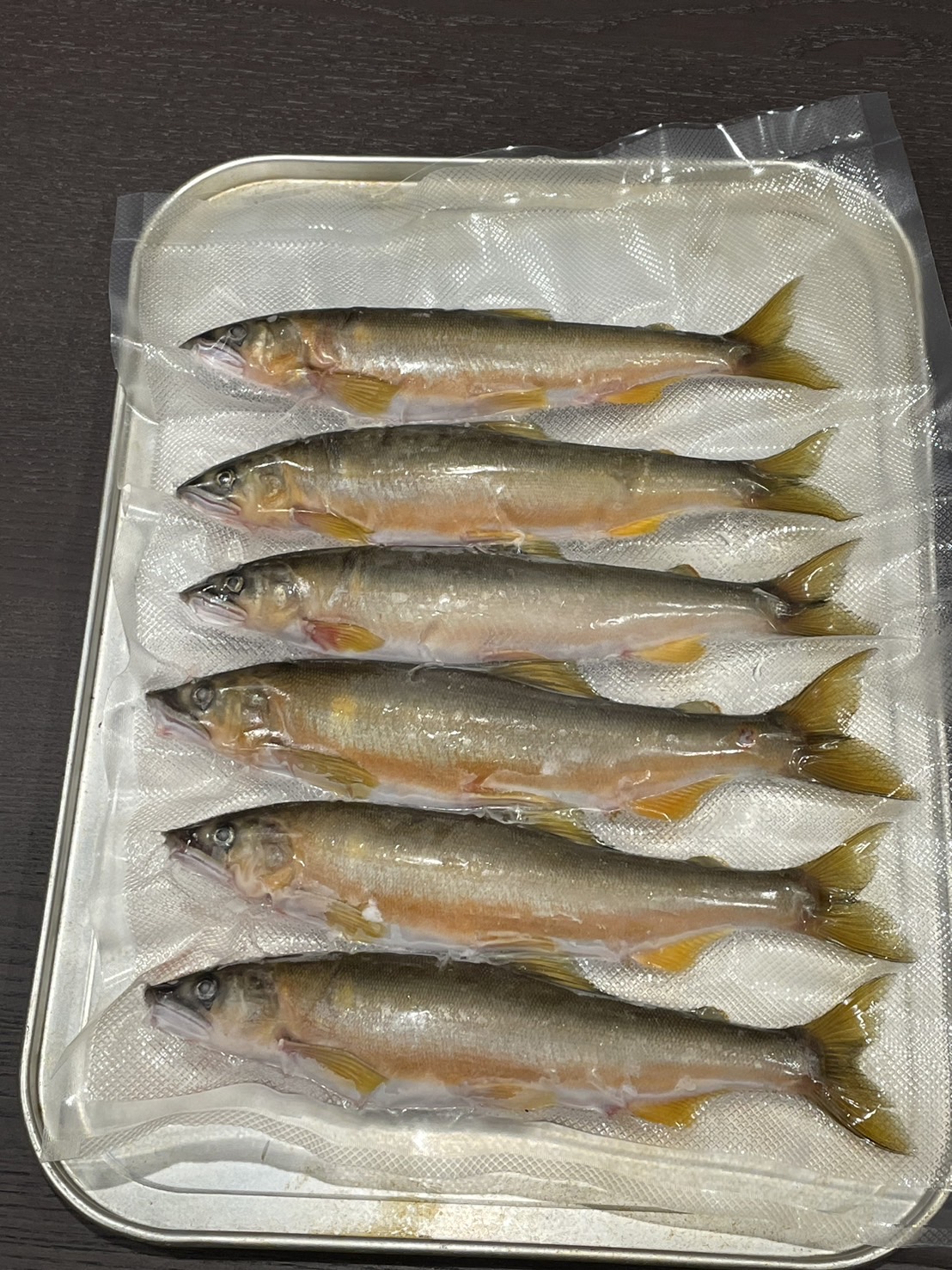 山口県防府市佐波川で獲れる天然鮎 6～10尾 (約500g) も蔵 山口県 防府市 A-B37 天然鮎 魚介類 川魚 鮮魚 瞬間冷凍 鮎の塩焼き 旬 産地直送 佐波川 特産品