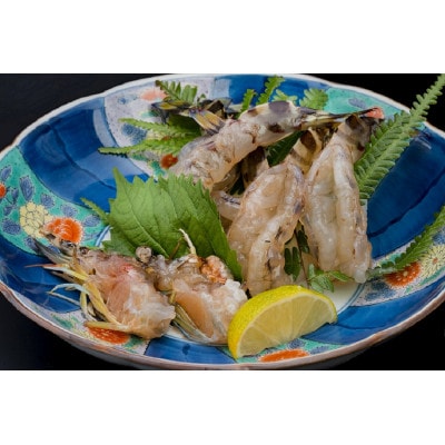 【山口県防府市向島産】2L〜3Lサイズ吟醸海老活き500g(10〜14尾前後)【配送不可地域：離島・北海道・沖縄県】【1375338】