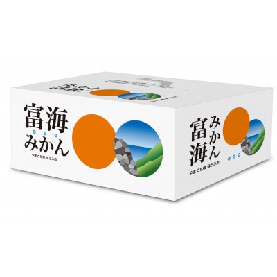 【訳あり】今年は少し大きめ。富海産濃い味みかん　3kg【1461331】