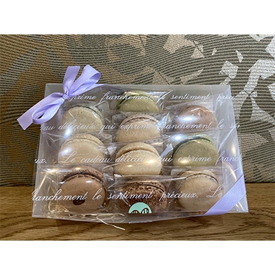 閾ェ辟カ豢セ繝槭き繝ュ繝ウ縲10蛟九そ繝繝医宣埼∽ク榊庄蝨ー蝓滂シ夐屬蟲カ縲代1145147縲