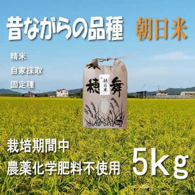 栽培期間中農薬・肥料不使用で作った朝日米　精米5kg【1473446】