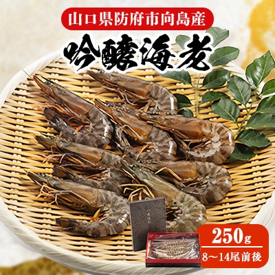 【山口県防府市向島産】吟醸海老250g【配送不可地域：離島】【1330466】