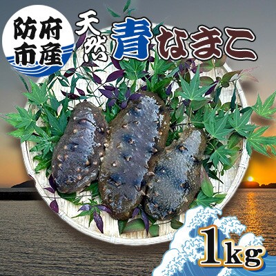 é²åºåžç£å€©ç¶éãªãŸã1kgãé
éäžå¯å°åïŒé¢å³¶ãã1687984ã