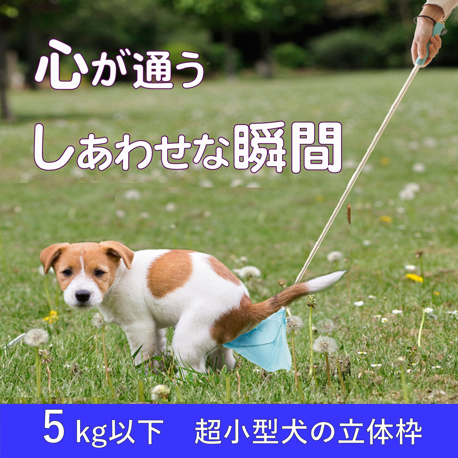 犬のフンキャッチャー らふーん【小型枠】　特許技術で手が汚れない 立ったまま簡単フンキャッチ トイプードルなど超小型犬用 國信商店 山口県 防府市 A-H19 犬 散歩 ウンチ取り 腰痛防止 便利グッズ ペット用品 特許