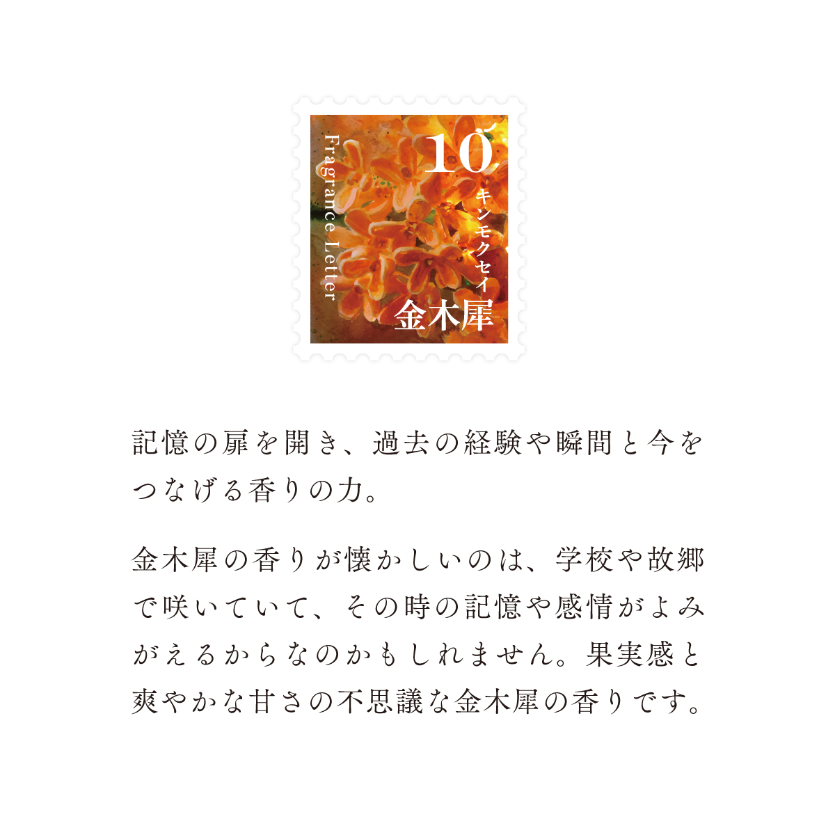 移ろう四季のディフューザー【四季巡り】～1月-12月の香り12種セット～　癒しの芳香剤・ルームフレグランスギフト gone works 山口県 防府市 G-B04 リードディフューザー セット アロマ スティック 日本製 天然香料 インテリア 玄関 寝室 贈り物 ギフト
