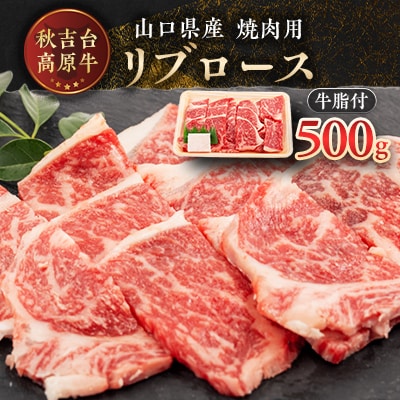 山口県産　秋吉台高原牛リブロース焼肉500g【配送不可地域：離島】【1444666】