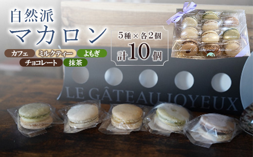 自然派マカロン　10個セット【配送不可地域：離島】【1145147】