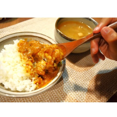 【防府の玉葱】農家カレー チキン甘口4個セット【1476938】