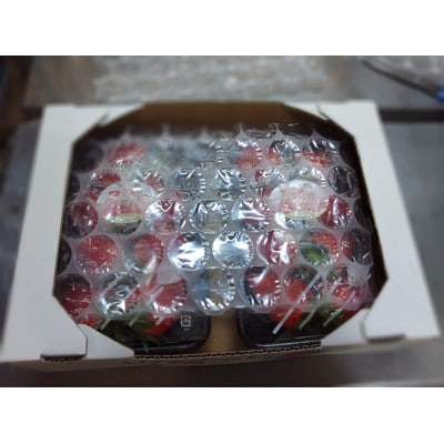 いちご味くらべ　おまかせセット(各パック240g×2(2種類以上))【配送不可地域：離島】【1588404】