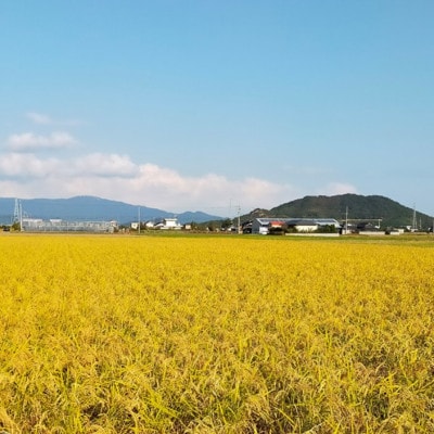 栽培期間中農薬・肥料不使用で作った朝日米　精米5kg【1473446】