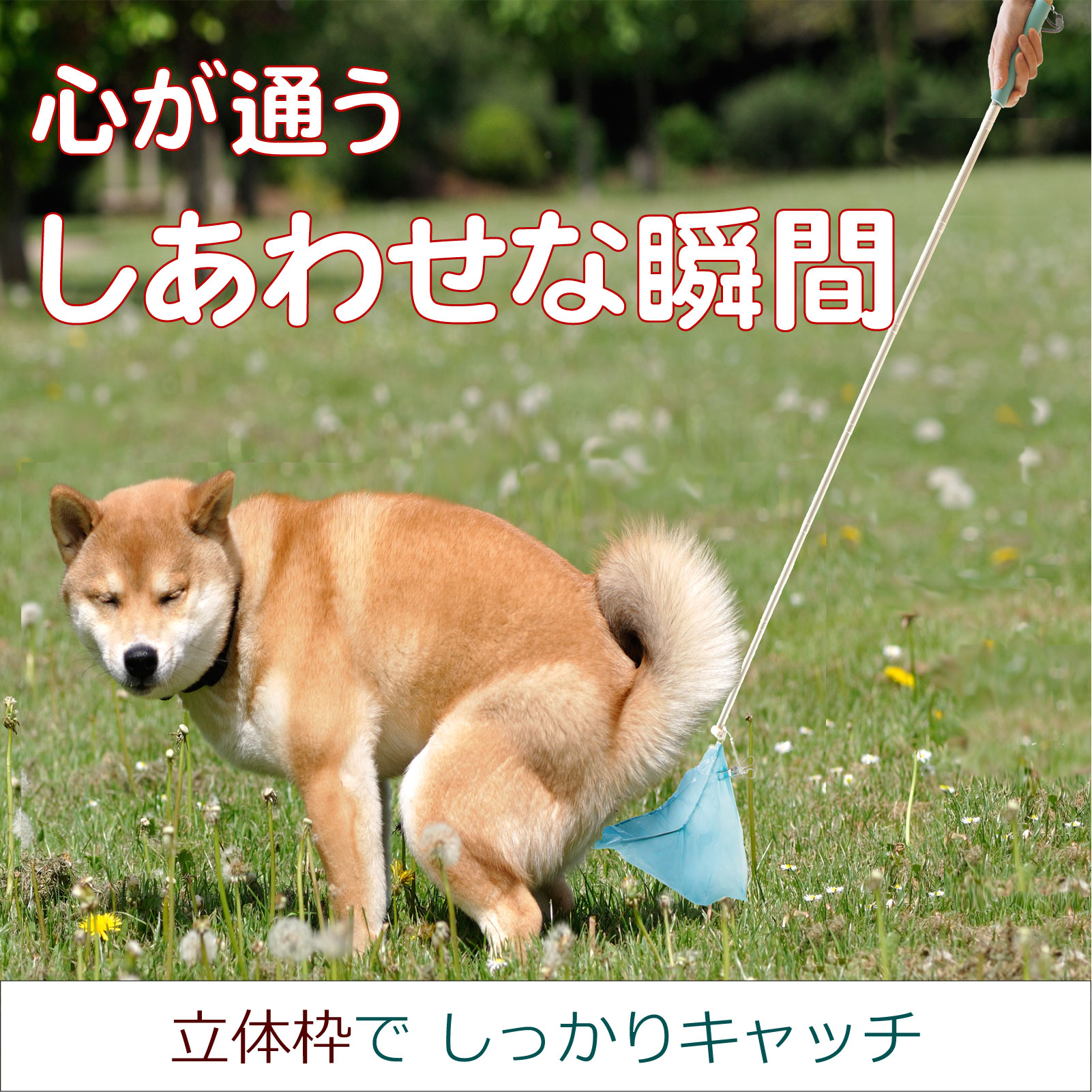 犬のフンキャッチャー らふーん【普通枠】　特許技術で手が汚れない 立ったまま簡単フンキャッチ 小型犬～大型犬用 國信商店 山口県 防府市 A-H18 犬 散歩 ウンチ取り 腰痛防止 便利グッズ ペット用品 特許