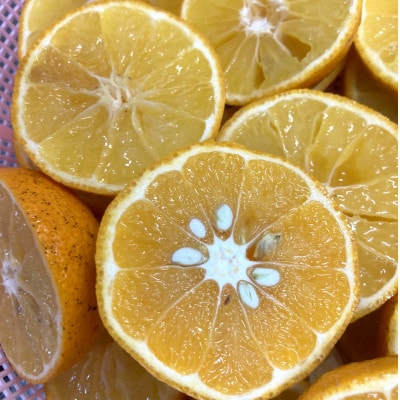 長門ゆずきちマーマレード【1619376】