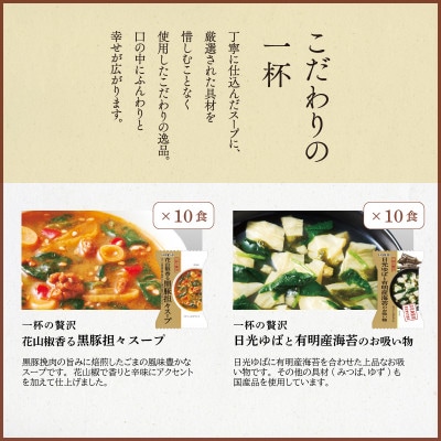 フリーズドライ2種20食セット(防府市)【1672953】