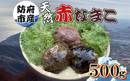 防府市産天然赤なまこ500g【配送不可地域：離島】【1687970】