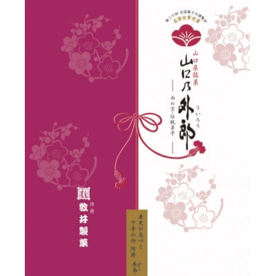 【毎月定期便】山口乃外郎6袋12本入全3回【4069040】