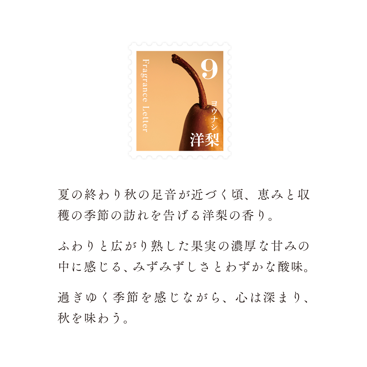 移ろう四季のディフューザー【秋韻】～秋の香り3種セット～ 癒しの芳香剤・ルームフレグランスギフト gone works 山口県 防府市 B-C19 リードディフューザー セット アロマ スティック 日本製 天然香料 インテリア 玄関 寝室 贈り物 ギフト