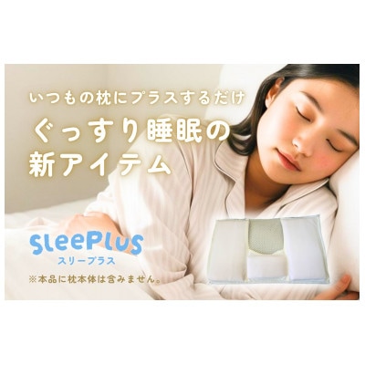 和紙生地 枕カバー SleePlus スリープラス【1628523】