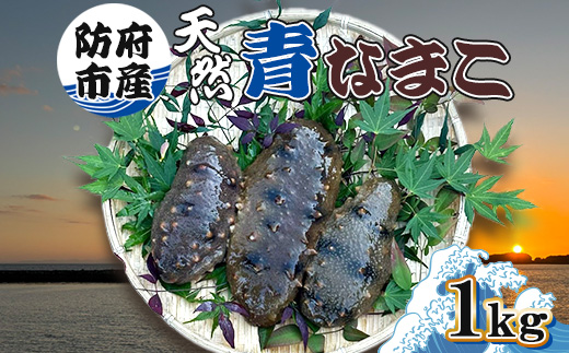 防府市産天然青なまこ1kg【配送不可地域：離島】【1687984】