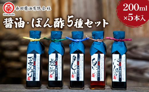 木桶で仕込む地産醤油　お洒落な四角い瓶で、気分上々になるっちゃねセット【1226444】
