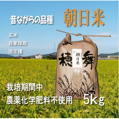 栽培期間中農薬・肥料不使用で作った朝日米　玄米5kg【1669225】