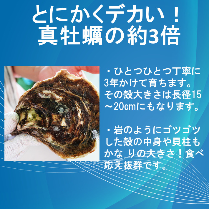 牡蠣 カキ 岩ガキ 岩がき 岩牡蠣 岩カキ 海のミルク 濃厚 クリーミー 夏バテ防止 2kg  焼き 蒸し 加熱用 (10021)