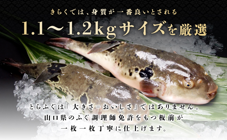(10103)縺ィ繧峨オ縺 蛻コ霄ォ 1莠コ蜑 テ 3逧ソ 蜷郁ィ120g 蟆冗堊 蟆丞縺 縺オ縺仙絢縺 豬キ魄ョ 蜀キ蜃