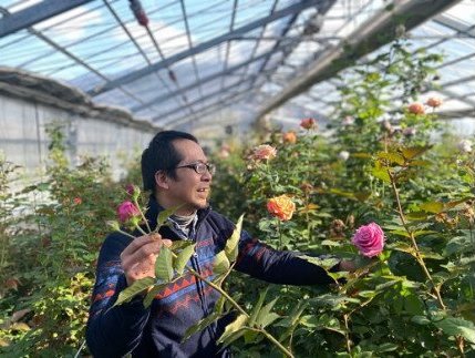 (130001)フラワー　花　バラ　バラ園　花束　お届け便　定期便　毎月コース　山口県　贈り物　ギフト