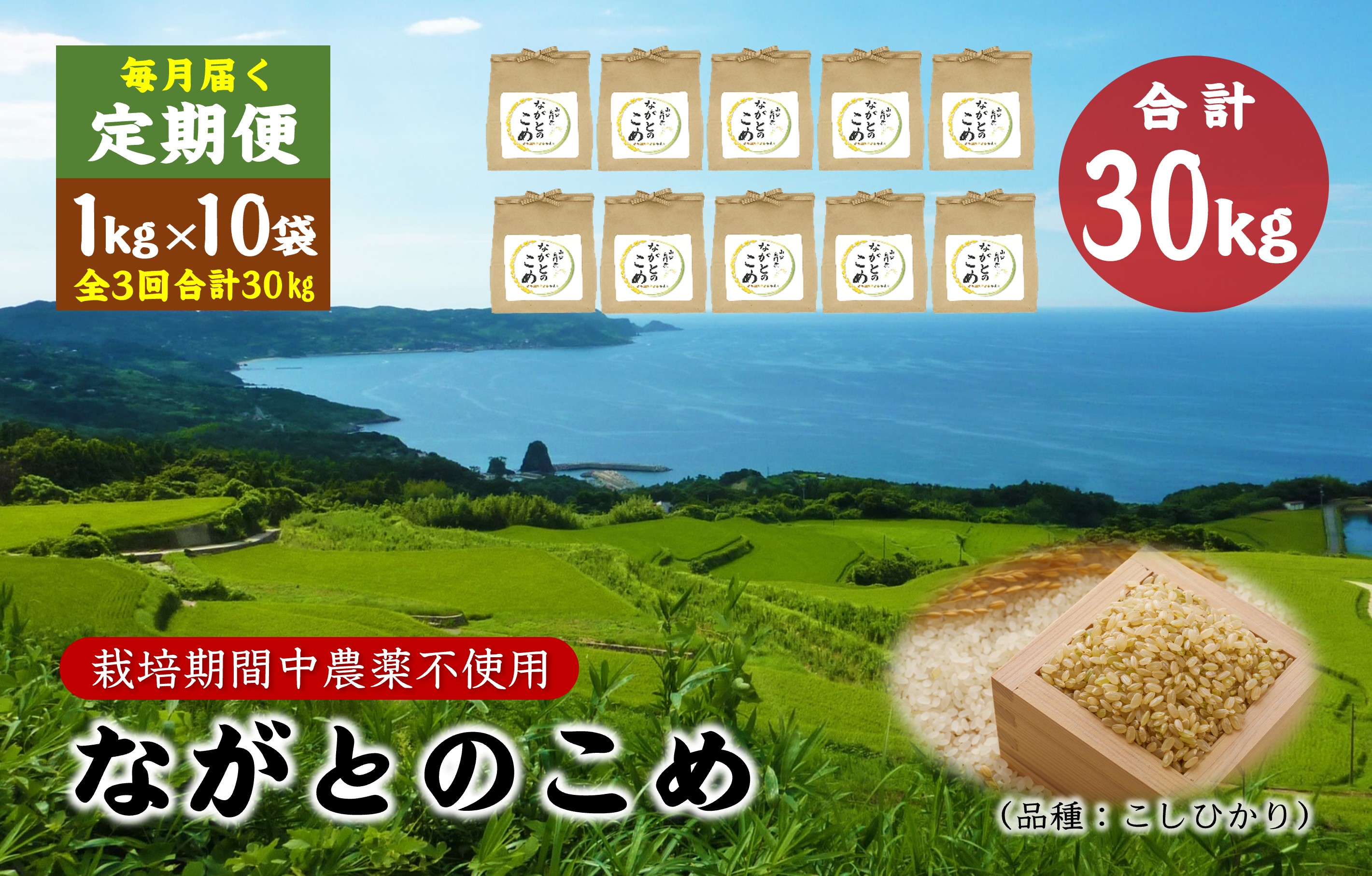 (1614)定期便 ながとのこめ コシヒカリ 玄米 1kg×10袋 毎月 全3回 合計30kg コシヒカリ  長門市 