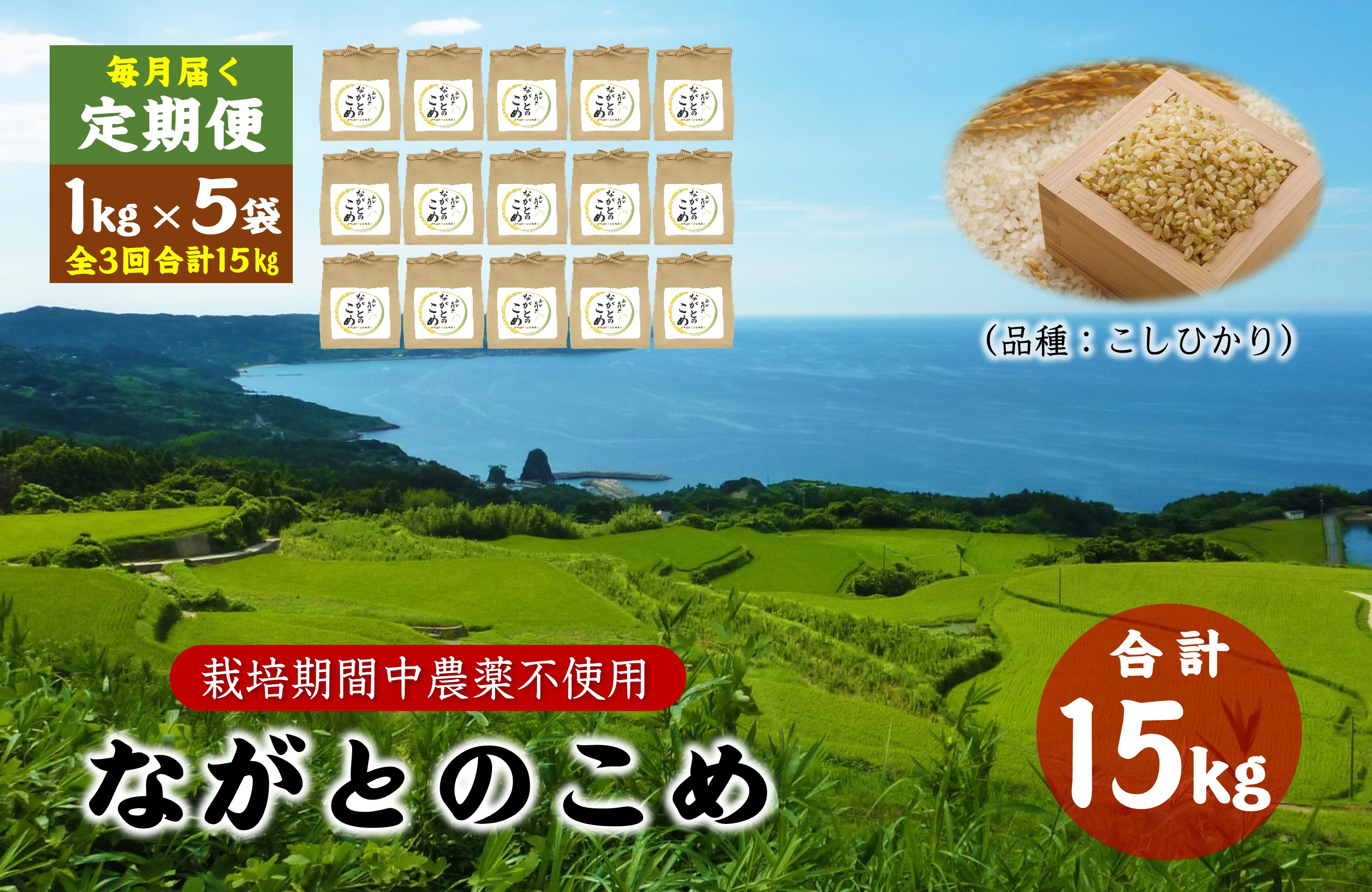 (1368)定期便 ながとのこめ 玄米 1kg×5袋 毎月 全3回 合計15kg コシヒカリ こしひかり 長門市 