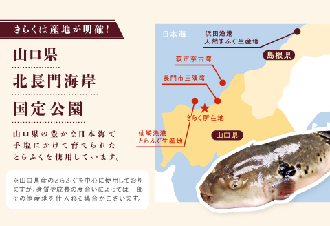 (250001)とらふぐ刺身　定期便コース【隔月10皿（10人前）×6ヶ月】