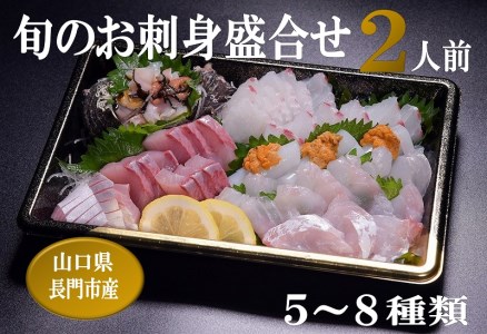 (1069)新鮮 鮮度抜群 仙崎発 地魚 「旬のお刺身盛合せ」 2人前 冷蔵