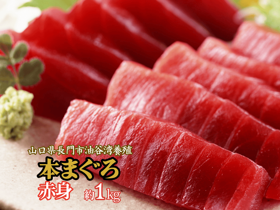 (1356)マグロ 本マグロ まぐろ 鮪 山口県 長門市 油谷産 希少 養殖 赤身 赤身柵 1ｋg 脂乗り抜群 とろける 冷凍 柵 ギフト 贈答 お正月