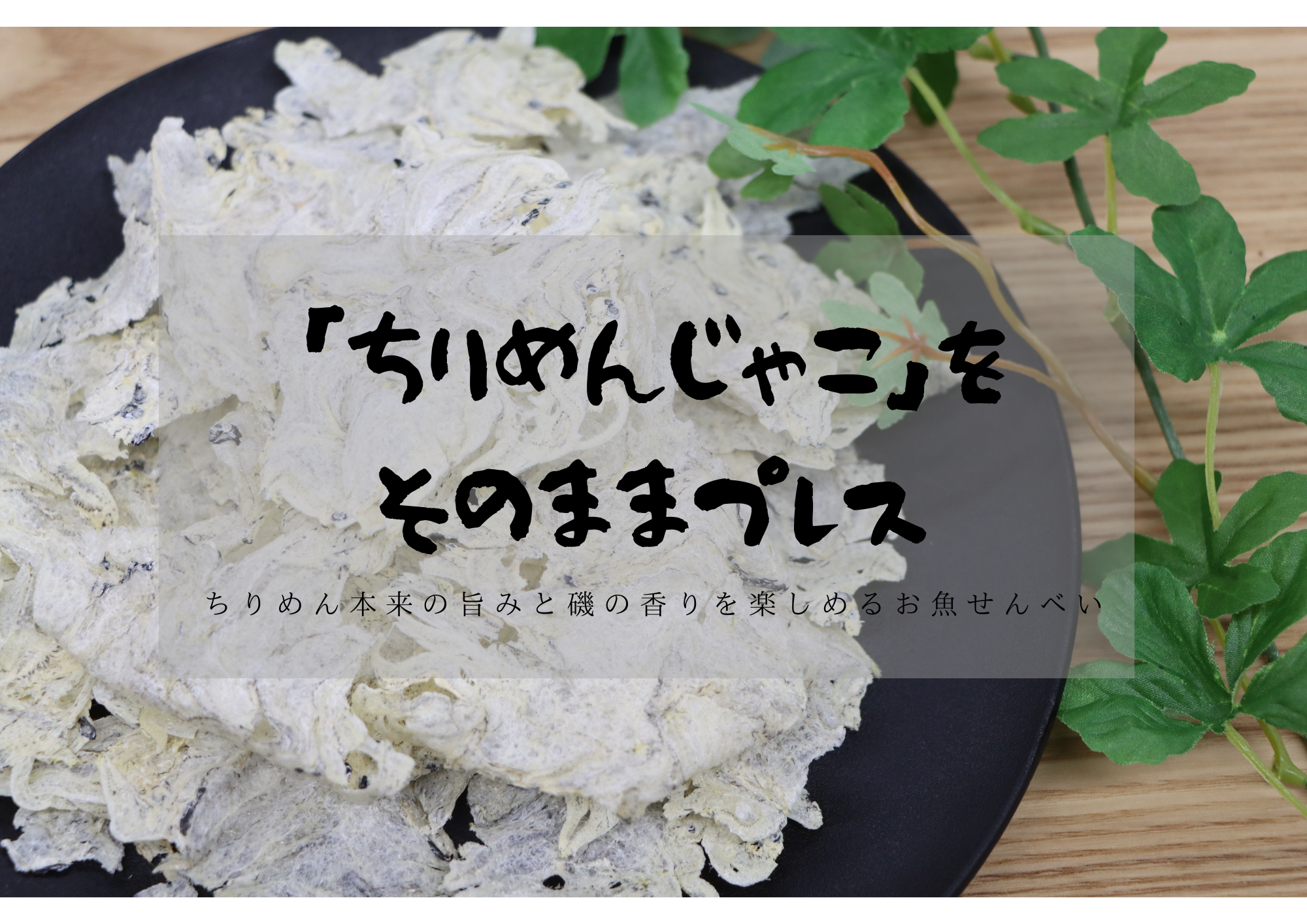 (10035)縺企ュ壹○繧薙∋縺 縺。繧翫a繧 繧ォ繝ォ繧キ繧ヲ繝 5陲九そ繝繝 髟キ髢蟶