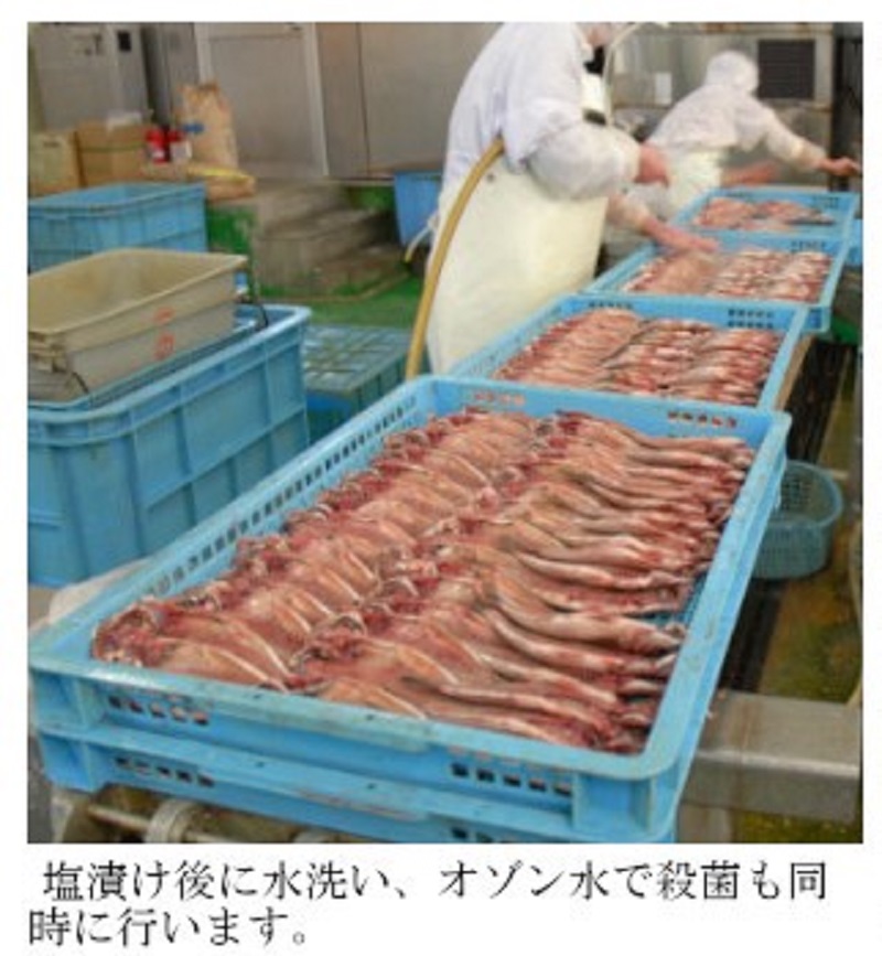 (10006)干物 山口県産 干物セット アジ開き カレイ 連子鯛 するめいか開き うるめ丸干し 詰合せ 新鮮