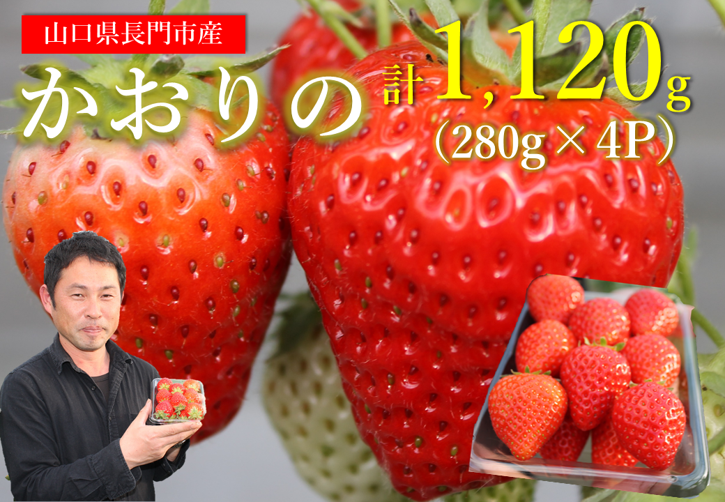 (10085) いちご 苺 かおりの 280g×4パック 合計1.1kg 長門市