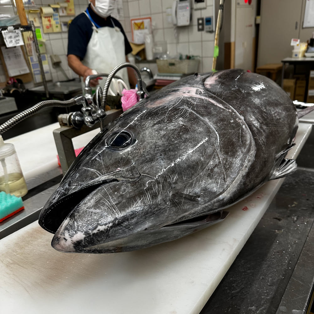 (1274)油谷産養殖本マグロ 中トロ柵 500g