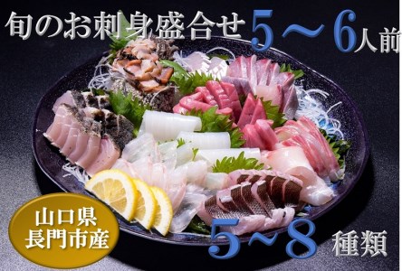 (1348)新鮮 旬魚 地魚 刺身盛り合わせ5～6人前（冷蔵）