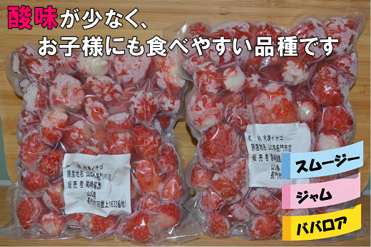 苺 いちご 長門産 冷凍いちご 1kg 500g×2袋「かおりの」フルーツ (1019)