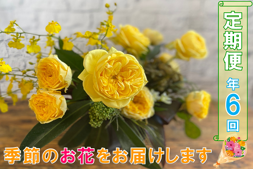(1601)長門産 季節のお花の定期便（年6回毎月コース）　贈り物　ギフト