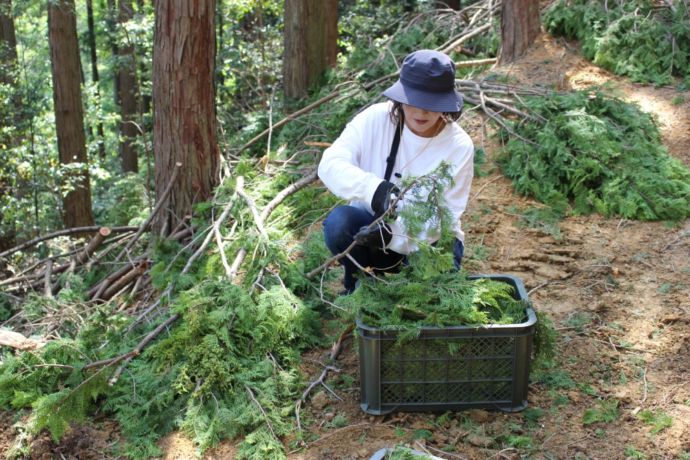  (1384)エッセンシャルオイル4本とひのきサシェ1個 長門ゆずきち精油 ひのき精油 すぎ精油 甘夏精油 ひのきサシェ