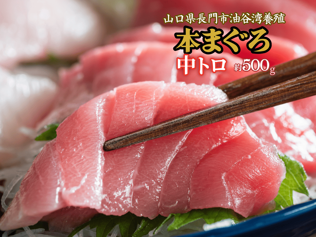 (1274)油谷産養殖本マグロ 中トロ柵 500g