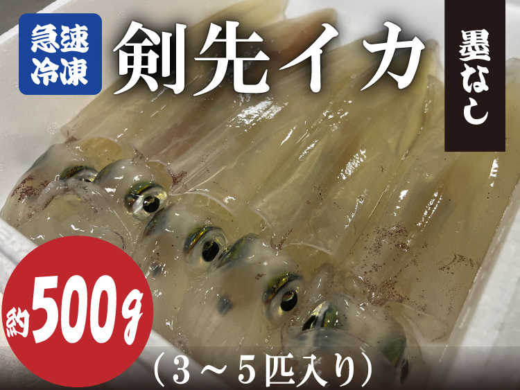 (10067)剣先イカ 冷凍 墨なし 急速冷凍 真空パック 約500g 3～5杯 長門市