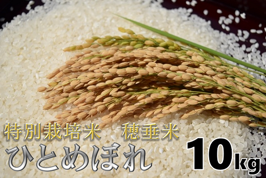 (1265)米　精米　白米　特別栽培米　穂垂米　「ひとめぼれ」　10kg　【令和3年産】
