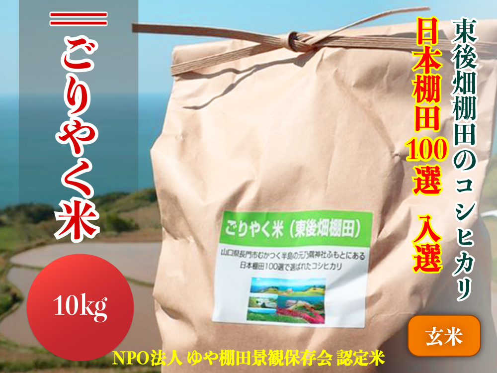 (1233)【令和6年度産先行予約】お米 玄米 こしひかり 10kg「ごりやく米」 コシヒカリ