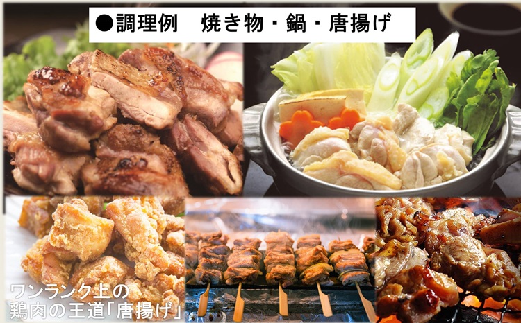 (12030) 長州黒かしわ もも肉 むね肉 セット 地鶏 鶏肉 長門市
