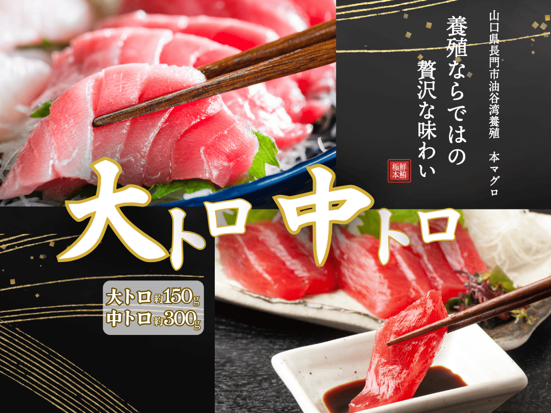 (1275)油谷産養殖本マグロ 大トロ 中トロ 柵セット