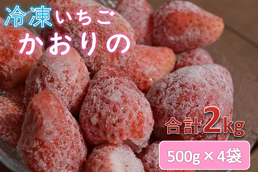 (1039)長門産　冷凍いちご【かおりの】(500g×4袋)